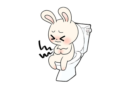 うさぎの食欲がなくて病院行ったけど毛球症でも鬱滞でもなかった!?
