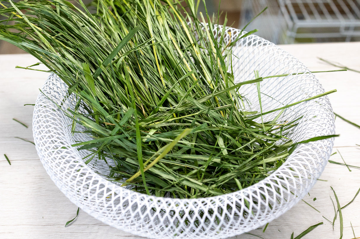 盛岡極上チモシー 300g 数量限定