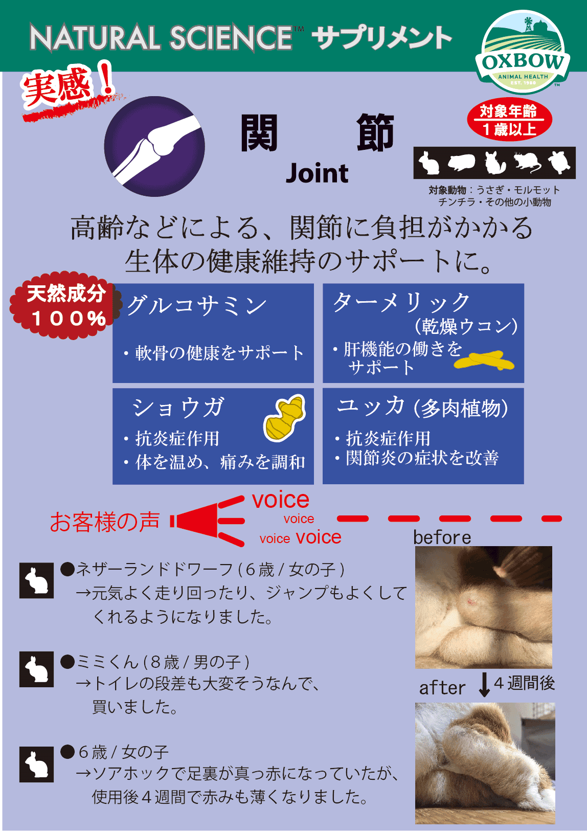 うさぎのサプリ ナチュラルサイエンス 関節 ソアホック予防に