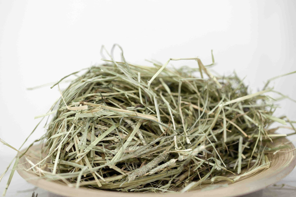 スタンダードシリーズ アメリカ産 プレミアム 1番刈りチモシー1kg(簡易梱包)