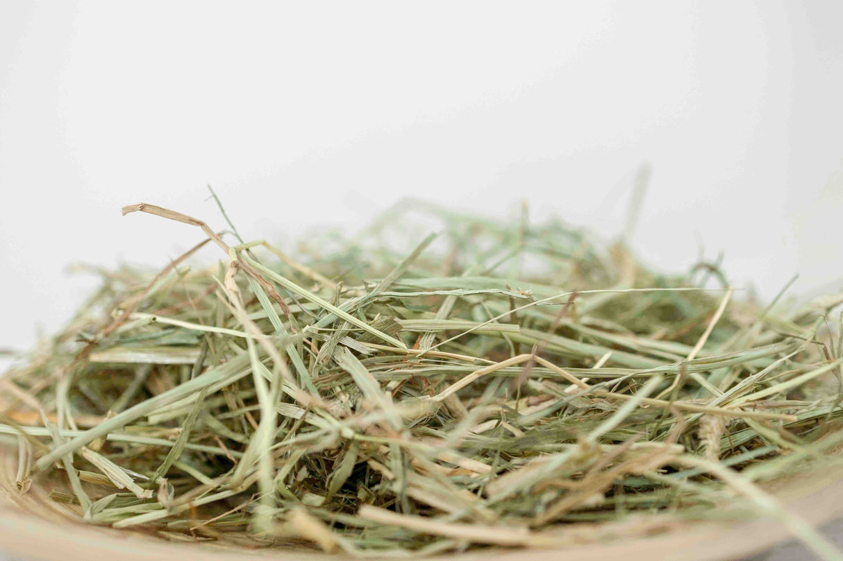 スタンダードシリーズ アメリカ産 プレミアム 2番刈りチモシー500g(簡易梱包)