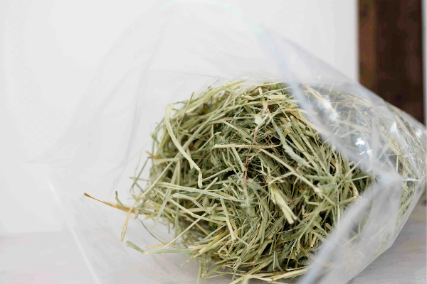 (送料込み)9歳を迎えても食欲旺盛!グリちゃんの健康な毎日を支える「ごはんとおやつ」をまるごとセットにしました