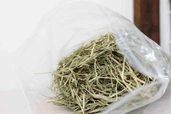 スタンダードシリーズ アメリカ産 プレミアム 2番刈りチモシー500g(簡易梱包)