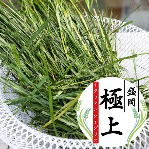 盛岡極上イタリアンライグラス 300g 数量限定