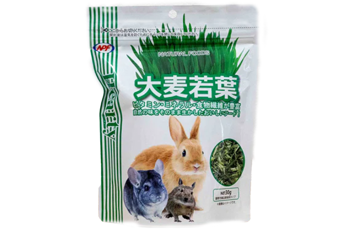 うさぎのおやつ 大麦若葉 小動物に