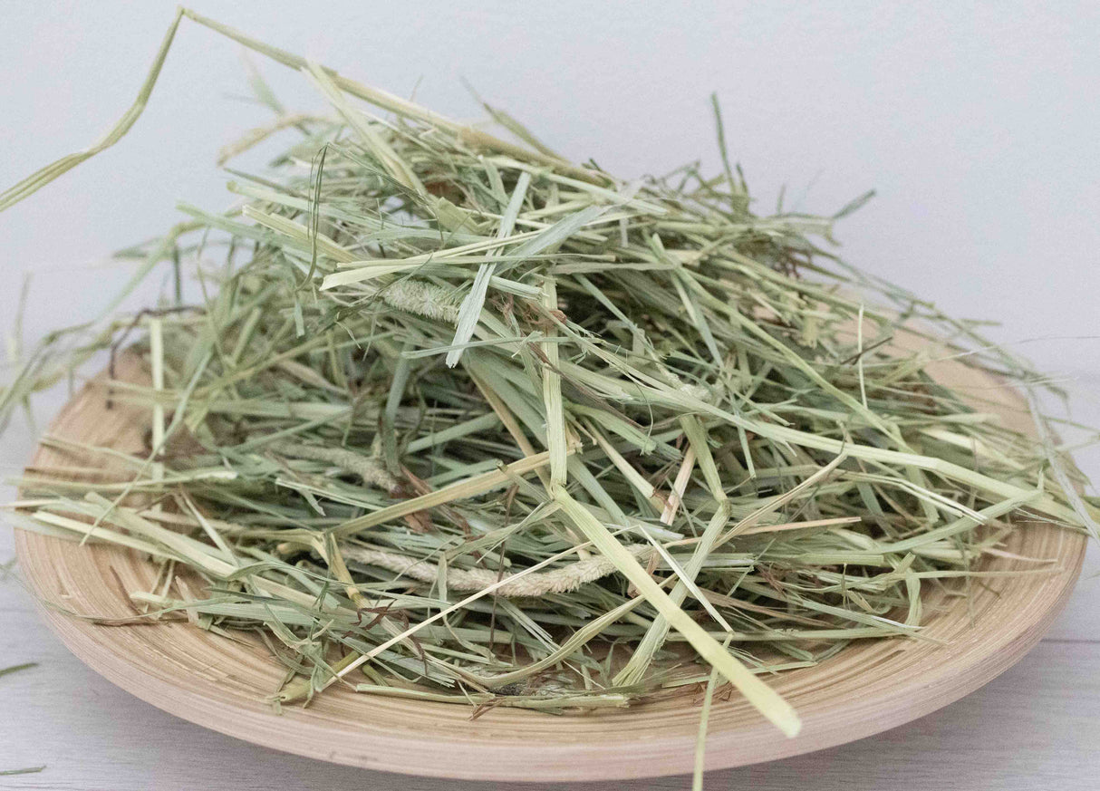 毎日ハッピーチモシー 1番刈りW乾燥西方 USAプレミアムチモシー500g乾燥剤入り