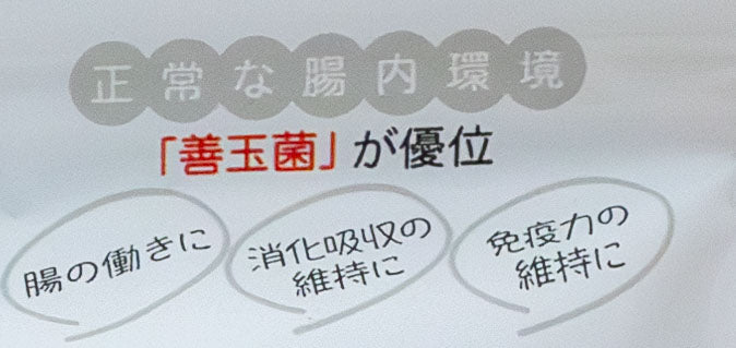 うさぎのサプリ うさぎの乳酸菌LAB