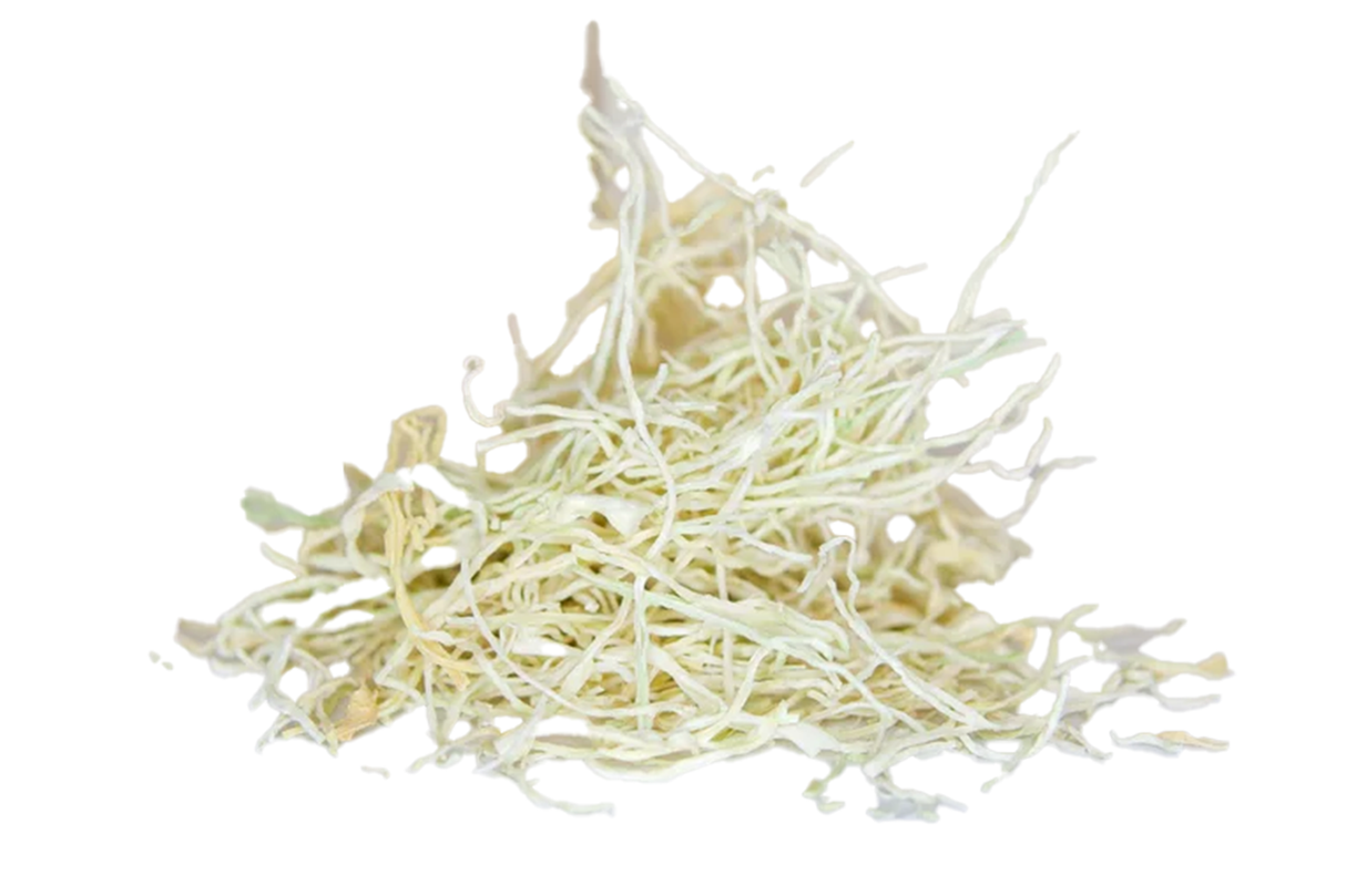 うさぎのおやつ パパイヤ40g 千切り 極細タイプ