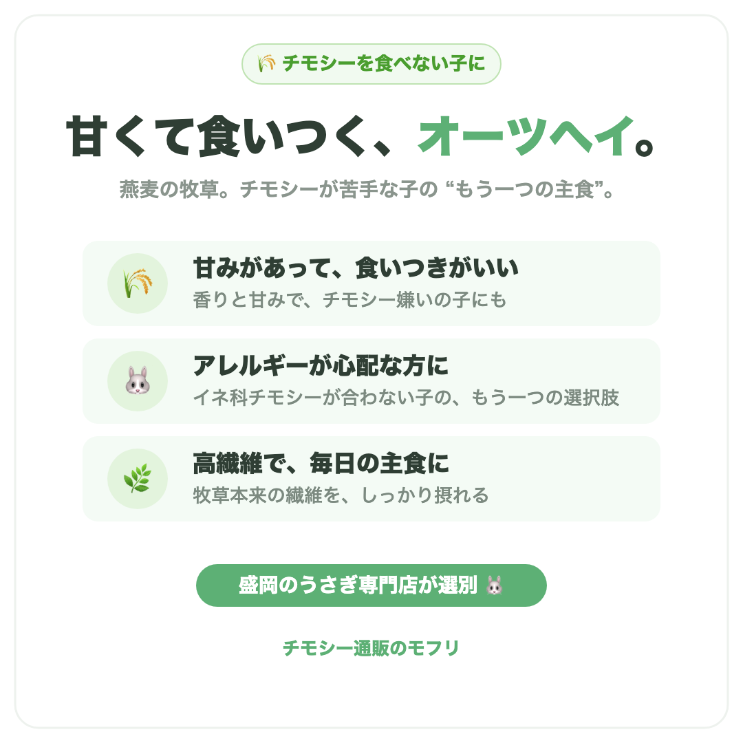 甚くて食いつくオーツヘイ。チモシーを食べない子・アレルギーが心配な方に