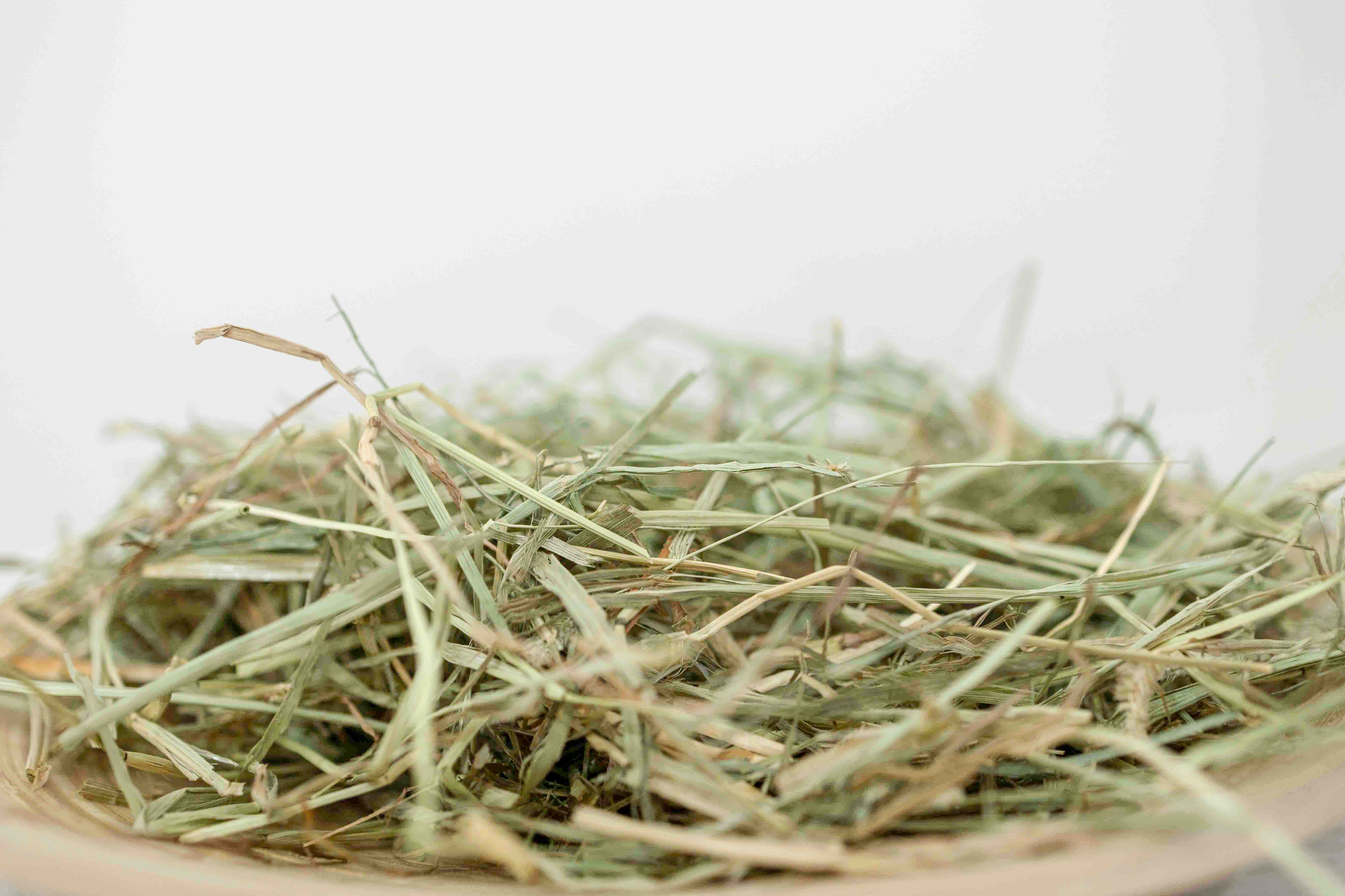 スタンダードシリーズ アメリカ産 プレミアム 2番刈りチモシー500g