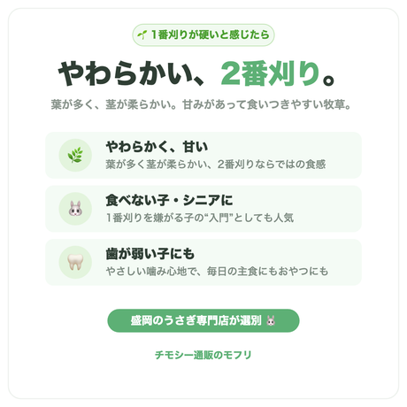 やわらかい2番刈り。食べない子・シニア・歯が弱い子に